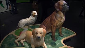 「愛犬角度看世界」 加州狗展讓主人體驗狗感知