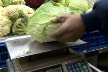 菜價俗俗賣！ 青江菜、菠菜每台斤20元有找