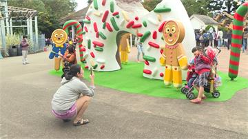 六福村耶誕節做公益 招待重症病童免費暢玩