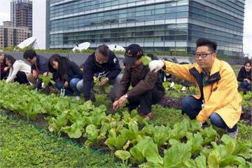 民視可食地景大豐收！ 25斤蔬菜贈家扶