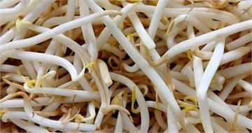 豆芽菜不算燙青菜？醫證實「水分高、營養低」　長期單吃影響曝光