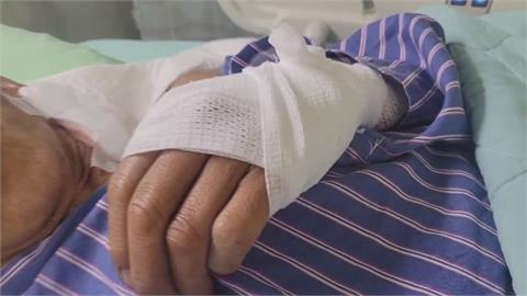 男河堤慢跑「生殖器被狗咬破」　質疑「不是野狗」飼主不肯承認