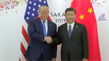 中美貿易戰誰是最大贏家？CNN：台灣是4國之一