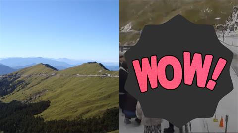 合歡山體感-5˚C降下霧淞如仙境！武嶺「像灑了糖霜」絕美畫面曝光
