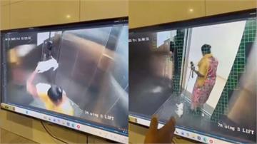 保母「電梯怒摔狗」致死!監視器全錄下 還謊稱被車撞