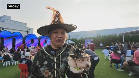 毛孩版萬聖節！　菲律賓百隻萌犬變裝大會