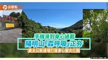 手機滑到身心過載　陽明山「森呼吸」正夯　姜太公新道場打造身心靈文化園
