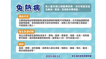 近3年首例「兔熱病」確定本土個案！小心兔子、野兔、田鼠人畜共通疾病！