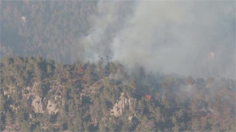 西班牙爆發今年首起野火　4天燒毀超過4千公頃森林