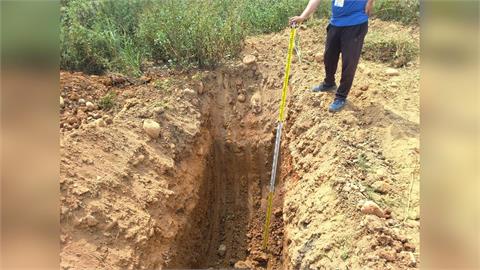 快新聞／假種樹真倒廢土！33人7公司遭起訴　桃園黑心集團狂撈4億