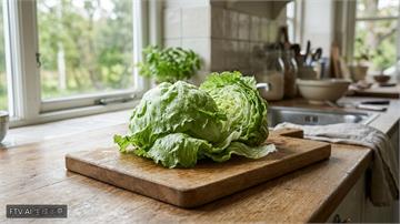 美爆發寄生蟲感染　墨西哥：無證據指墨國生菜為源頭