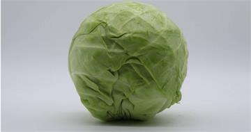 一票人嫌歐美高麗菜難吃！「像咬塑膠玩具」　內行人曝：要買尖頭的