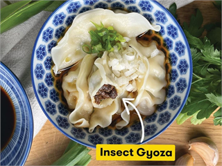 為何昆蟲蛋白還沒辦法普及？英國餐廳Yum Bug以「蟋蟀」為料理主題試圖破除消費者心理障礙