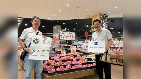 快新聞／甜進日本市場！台灣芒果進軍永旺超市　展現台日民間友好情誼