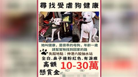 彰化爆「杜告母幼犬」被虐打失蹤　伸港出海口出現遺體