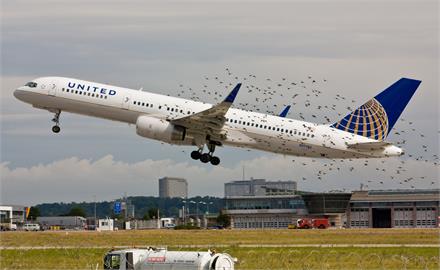 濟州航空失事衝擊力達4.8噸！務安機場「這數據」全國第一