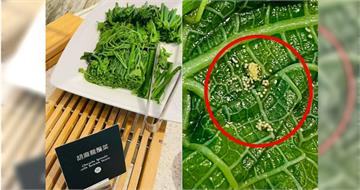 高雄某5星飯店早餐驚見數粒蟲卵　民眾憂食安把關不當！業者致歉並已和解