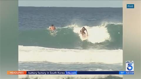 夏威夷衝浪遭鯊魚咬斷手腳　「神鬼奇航」49歲男星身亡