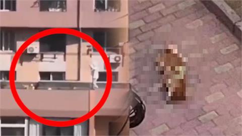 中國女頂樓遛狗沒牽繩還顧滑手機　柴犬「暴衝躍矮牆」墜5樓慘死