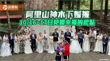 神木下婚禮迎20周年「幸福回家」  阿里山賓館打造山林浪漫婚旅