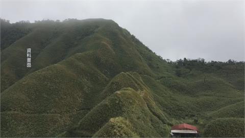 沒水準！為了看抹茶山景色　3輛名車占據車輛禁行斜坡