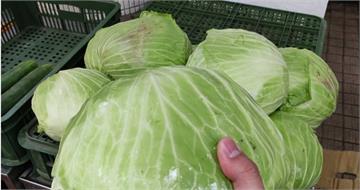 中颱楊柳進逼！菜販急喊「買2顆高麗菜回家」：未來兩週會感謝自己