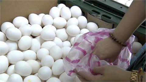 雞蛋批發價明起漲3元　每台斤55元創新高
