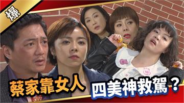 《愛的榮耀-EP114精采片段》蔡家靠女人  四美神救駕？  