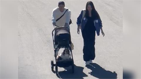 MLB(影)／來了來了全家都來了！大谷翔平賽前被捕捉推愛女、愛犬、愛妻現身球場