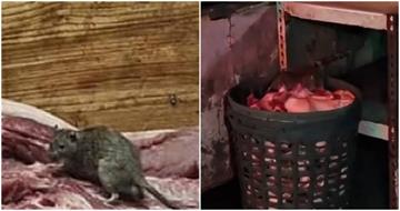 菜市場肉攤驚見「料理鼠王」　網笑：主廚親自驗收肉品