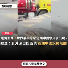 事實查核／【錯誤】網傳影片：「世界最長的一條蛇，在中國因洪水引起山崩出現，被在地人發現」？