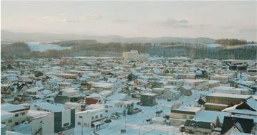 北海道蟑螂「3原因」激增！專家破解迷思：1品種百年前已定居當地