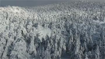 暴雪虐歐洲！慕尼黑數百航班受阻 義大利大停電