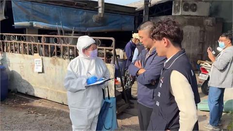 台中大肚一處養豬場遭爆廚餘養豬！　業者喊冤是在煮水