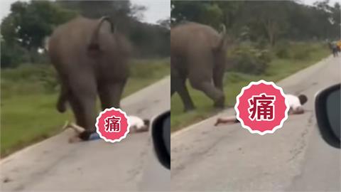 男拍照開閃光惹怒大象！遭瘋狂踩踏「連內褲都被扒掉」輾人驚悚片流出