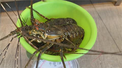 東港海鮮餐廳被爆10菜1湯1萬4　　「萬元套餐」意外爆紅