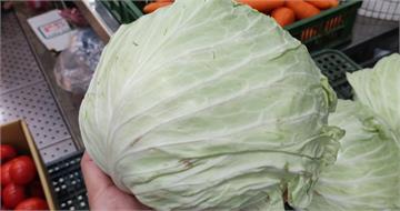 颱風後菜價齊漲！「這青菜」守最後一道防線：CP值超高
