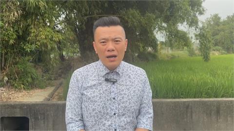 台中驚見九隻貓陳屍圳溝　動保處初判死因出爐