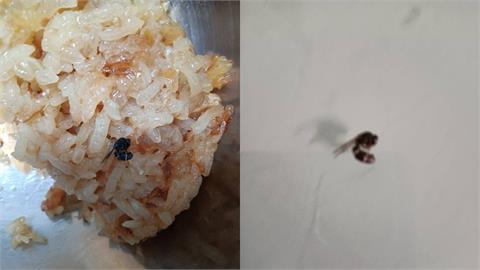 獨家！北投外帶油飯「驚見蒼蠅」　女吃壞肚子怒投訴