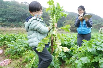 新年走春！體驗農民豐收樂趣　新北青農推食農體驗