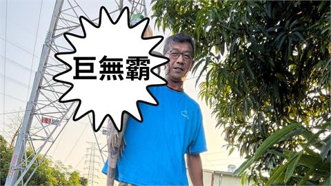 台南捕獲2公尺「怪獸哥吉拉」原型！他親曝：幾乎沒天敵、日均抓逾70隻