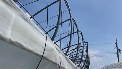 嘉義農損補助出現「溫室蟑螂」　推「溫室工程佛心價」　收訂金捲款潛逃