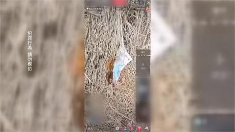 男開直播"公墓點火"自稱搜救隊 台中消防駁:非義消