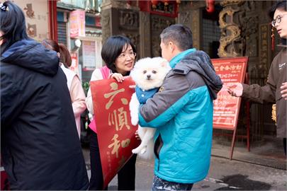 快新聞／新北市長選戰對上張麗善？　蘇巧慧：我會努力成為最好人選