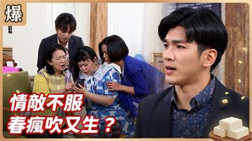 一個月內光速娶媳婦！恩愛公婆首度不同調？《豆腐媽媽-EP13精彩片段》