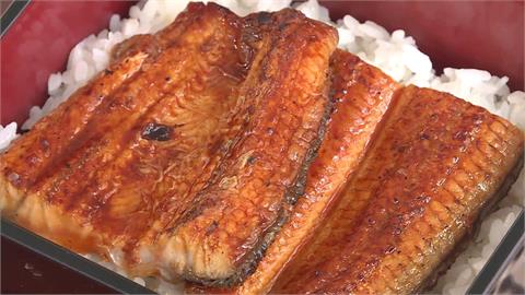 大豐收！今年國產鰻魚價格很親民 漁業署.雲林縣府赴新竹強力推廣