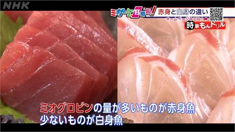 魚肉偏紅、偏白差很大！ 日本專家來解答
