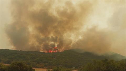 歐洲熱浪狂襲　希臘.土耳其野火肆虐