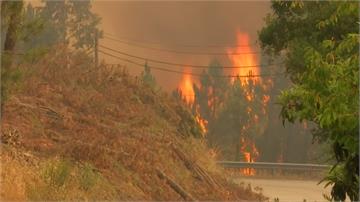 濃煙密布！葡萄牙森林大火釀33人受傷