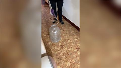 台北社子島成毒蛇島？　2天抓3隻居民好崩潰！懷疑這件事